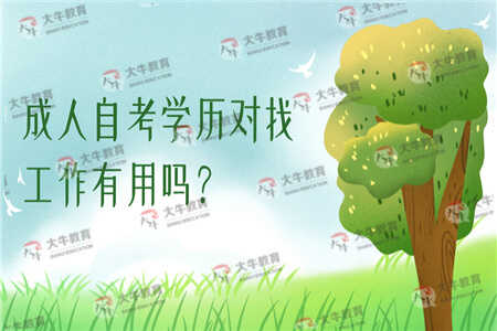 成人自考学历对找工作有用吗？