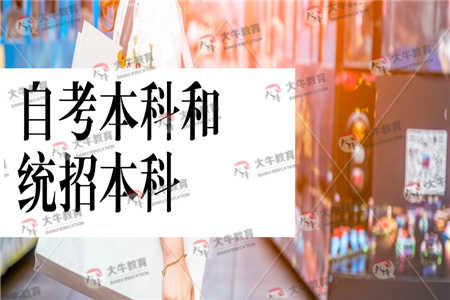 自考本科和统招本科比哪个优势大？