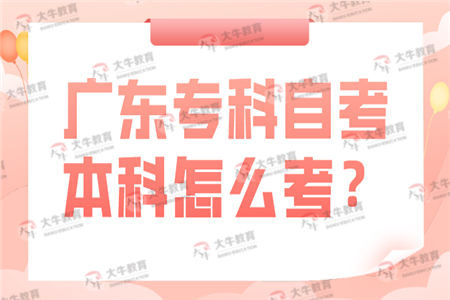 广东专科自考本科怎么考？