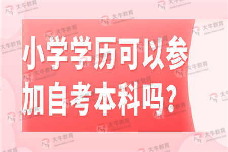 小学学历可以参加自考本科吗？