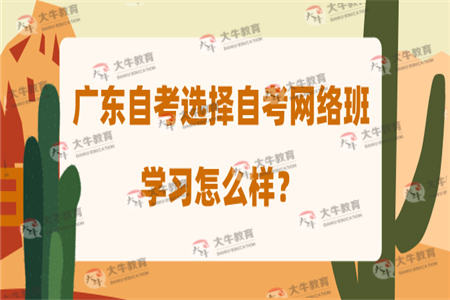 广东自考选择自考网络班学习怎么样？