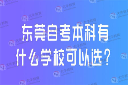 东莞自考本科有什么学校可以选？