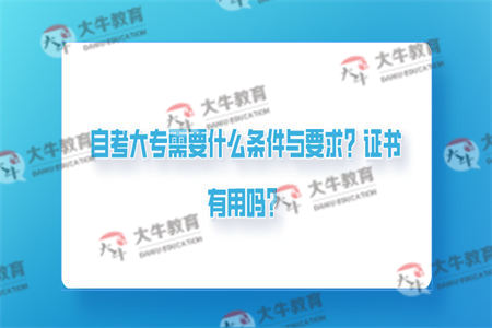 自考大专需要什么条件与要求？证书有用吗？