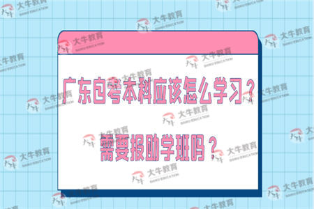 广东自考本科应该怎么学习？需要报助学班吗？