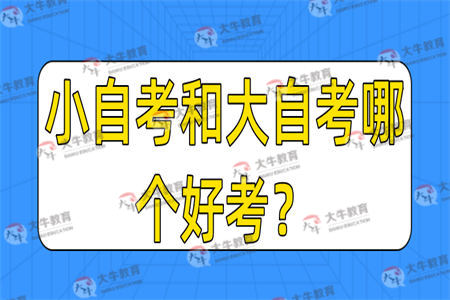 小自考和大自考哪个好考