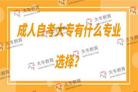 成人自考大专有什么专业选择？