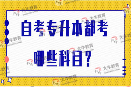 自考专升本都考哪些科目？