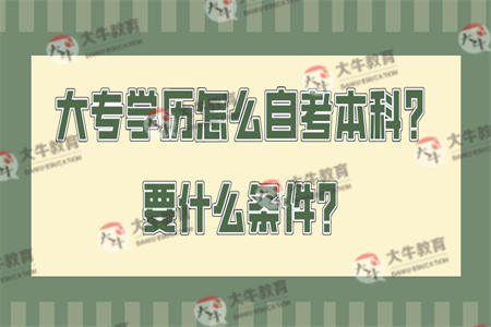 大专学历怎么自考本科？要什么条件？